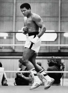 Athletic Prints: Muhammad Ali in Boxing Ring Training Print