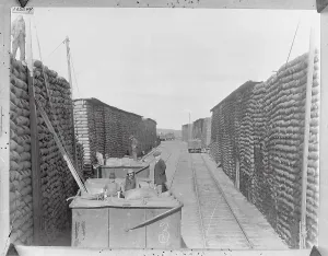 Farmers At Work Prints: Stacking Wheat for Export
