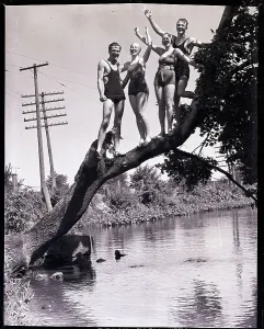 Vintage Swimwear Models Prints: Swimmers Standing on Tree Branch