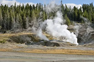 Black Growler Steam Vent, Porcelain Basin, Norris Geyser Basin, Yellowstone National Park, Wyoming, USA Black Growler Steam Vent, Porcelain Basin, Norris Geyser Basin, Yellowstone National Park, Wyoming, USA