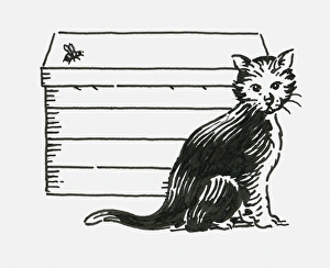 Black and white digital illustration of inquisitive kitten sitting near honeybee flying Black and white digital illustration of inquisitive kitten sitting near honeybee flying