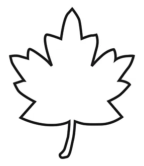 Black and white digital illustration of maple leaf outline Black and white digital illustration of maple leaf outline
