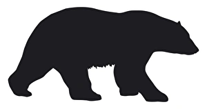 Black and white digital illustration of Polar Bear (Ursus maritimus) Black and white digital illustration of Polar Bear (Ursus maritimus)