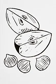 Black and white illustration of apple slices and nuts Black and white illustration of apple slices and nuts