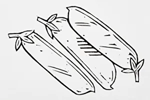 Black and white illustration of three aubergines Black and white illustration of three aubergines