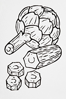 Black and white illustration of courgette and artichokes Black and white illustration of courgette and artichokes