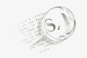 Black and white Illustration of a magnifying glass held over a section of text from a wildlife book with a tiny spider Black and white Illustration of a magnifying glass held over a section of text from a wildlife book with a tiny spider