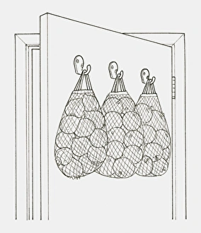 Black and white illustration of string bags holding fruit and vegetables hanging from hooks on the back of a door Black and white illustration of string bags holding fruit and vegetables hanging from hooks on the back of a door