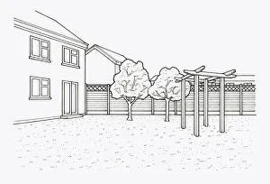 Black and white illustration of trees and pergola in garden and fence with trellis above Black and white illustration of trees and pergola in garden and fence with trellis above