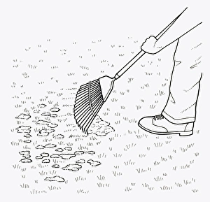Black and white illustration of using leaf rake to clear moss from lawn Black and white illustration of using leaf rake to clear moss from lawn