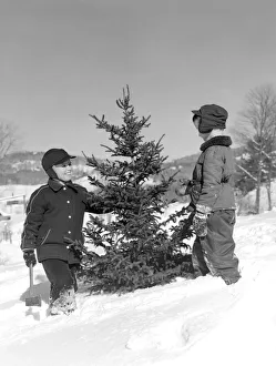 Two Boys Chopping Down Christmas Tree In Snow Outdoor Two Boys Chopping Down Christmas Tree In Snow Outdoor