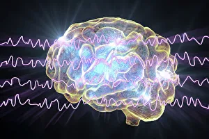 Brain and brain waves during rest, illustration Brain and brain waves during rest, illustration