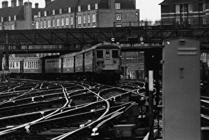 Black Rail Collection: Brighton Belle