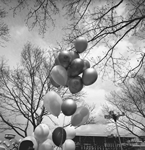 Bunch of balloons outdoors, (B&W), low angle view Bunch of balloons outdoors, (B&W), low angle view