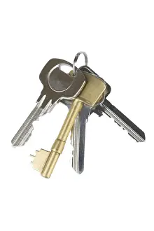 Bunch Of Keys Prints: Bunch of keys