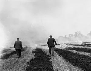 Burning Stubble Burning Stubble