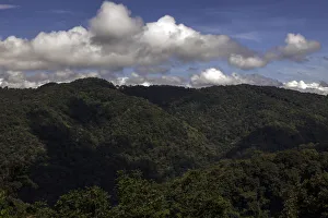 Bwindi Impenetrable National Park, Uganda Bwindi Impenetrable National Park, Uganda