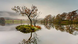 Calming Calming