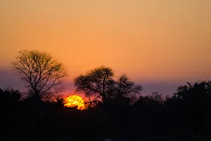caprivi strip, clear sky, color image, colour image, horizontal, landscape, morning caprivi strip, clear sky, color image, colour image, horizontal, landscape, morning