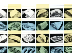 Food Background Images Prints: Meat pattern