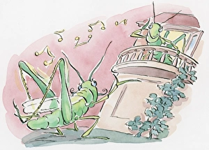 Cartoon of grasshopper attracting a mate by rubbing its back legs to chirp as she looks Cartoon of grasshopper attracting a mate by rubbing its back legs to chirp as she looks