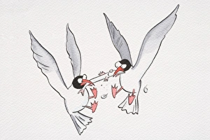A cartoon of two seagulls fighting for food A cartoon of two seagulls fighting for food