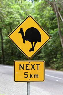 Cassowary warning sign in the rainforest, Daintree National Park, northern Queensland, Australia Cassowary warning sign in the rainforest, Daintree National Park, northern Queensland, Australia