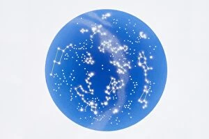 Images Dated 15th November 2006: Celestial sphere showing southern constellation
