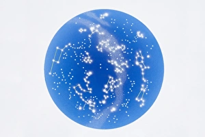 Celestial sphere showing southern constellation Celestial sphere showing southern constellation