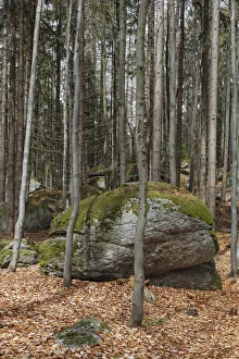 Celtic place of worship at Druidenweg in the inner stone circle, Yspertal, Waldviertel, Lower Austria, Austria Celtic place of worship at Druidenweg in the inner stone circle, Yspertal, Waldviertel, Lower Austria, Austria
