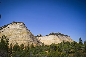 Checkerboard Mesa, Zion National Park, Utah, USA Checkerboard Mesa, Zion National Park, Utah, USA