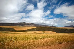 clear sky, cloud, color image, day, eastern cape province, grass, grass, grass area clear sky, cloud, color image, day, eastern cape province, grass, grass, grass area