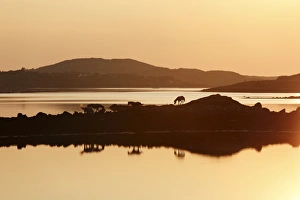 Clifden Bay at sunset, Connemara, County Galway, Republic of Ireland, Europe Clifden Bay at sunset, Connemara, County Galway, Republic of Ireland, Europe