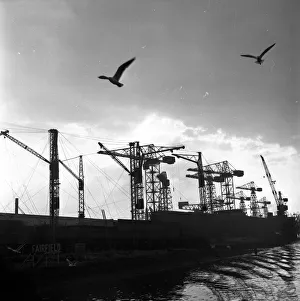Clydside Docks; Cranes and seagulls silhouetted against the sky Clydside Docks; Cranes and seagulls silhouetted against the sky