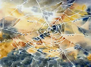Prints of Watercolour painting by djr.aquarelle spiderweb in front of ocre indigo abstract background Painting Prints: Cobweb Spiderweb Watercolour Print on Ocre Indigo Background