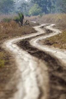 color image, day, dirt, dirt road, gorongosa national park, landscape, manica province color image, day, dirt, dirt road, gorongosa national park, landscape, manica province