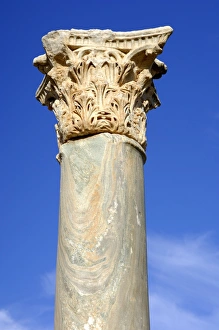 Column with Corinthian capital Leptis Magna Libya Column with Corinthian capital Leptis Magna Libya