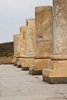 Fars Province Landmarks Prints: Columns