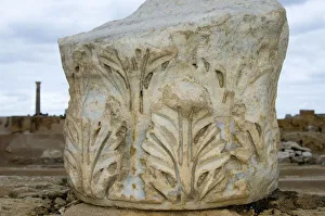 Corinthian capital Leptis, Sabratha, Libya Corinthian capital Leptis, Sabratha, Libya