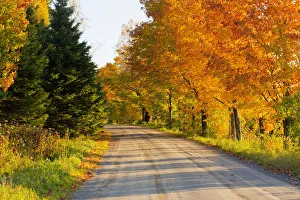 Country road in autumn, West Bolton, Quebec, Canada Country road in autumn, West Bolton, Quebec, Canada