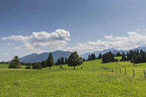 Cultivated landscape, Oberammergau Alps at the back, near Buching, Halblech, Allgau, Ostallgau, Bavaria, Germany Cultivated landscape, Oberammergau Alps at the back, near Buching, Halblech, Allgau, Ostallgau, Bavaria, Germany