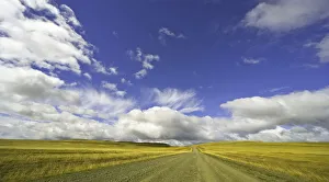 cumulus clouds above road, Patagonia, Argentina cumulus clouds above road, Patagonia, Argentina