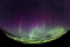 Curtains of Northern lights, Polar Aurorae, Aurora Borealis, green, pink, purple, near Whitehorse, Yukon Territory Curtains of Northern lights, Polar Aurorae, Aurora Borealis, green, pink, purple, near Whitehorse, Yukon Territory