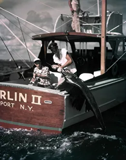 Deep Sea Fishing Boat Man At Helm Two Men On Stern One Hold Rod Reel One Pulls Fish Deep Sea Fishing Boat Man At Helm Two Men On Stern One Hold Rod Reel One Pulls Fish