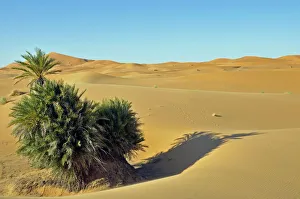 Desert of Erg Chebbi, Morocco, Africa, PublicGround Desert of Erg Chebbi, Morocco, Africa, PublicGround