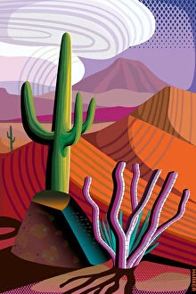 Images Dated 19th January 2018: Desert, Saguaro and Ocotillo Cactus, Mountains in distance Landscape Illustration