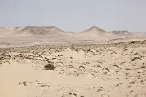 Desert with shrubs and hills, Dakhla, Western Sahara, Morocco Desert with shrubs and hills, Dakhla, Western Sahara, Morocco