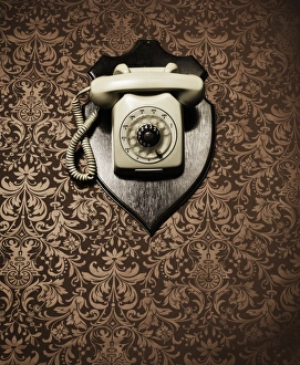Desk telephone hanging as a trophy on a wall