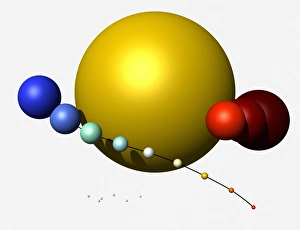 Diagram showing size of stars from white dwarfs to super giants, digital illustration Diagram showing size of stars from white dwarfs to super giants, digital illustration