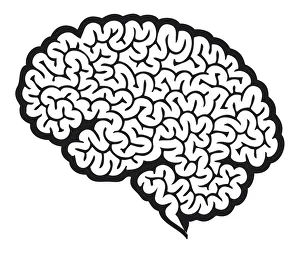 Digital cartoon of human brain showing cerebrum Digital cartoon of human brain showing cerebrum